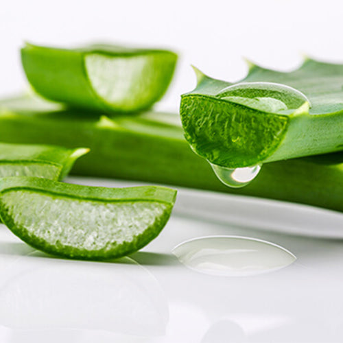 Aloe Vera Leaf Juice