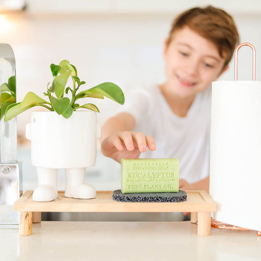 Person interacting with a plant and a box labeled 'Pure Plant Oil' on a table.