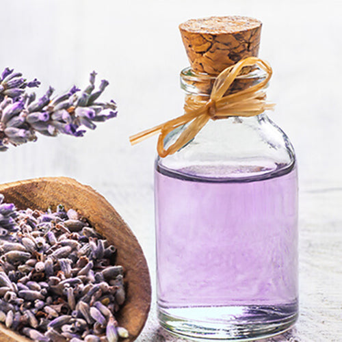 Lavender Essential Oil