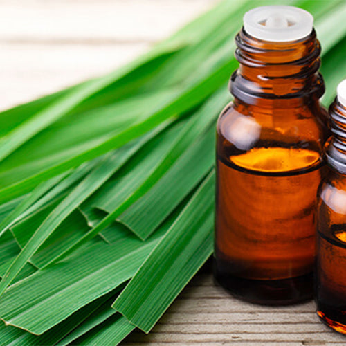 Lemongrass Essential Oil