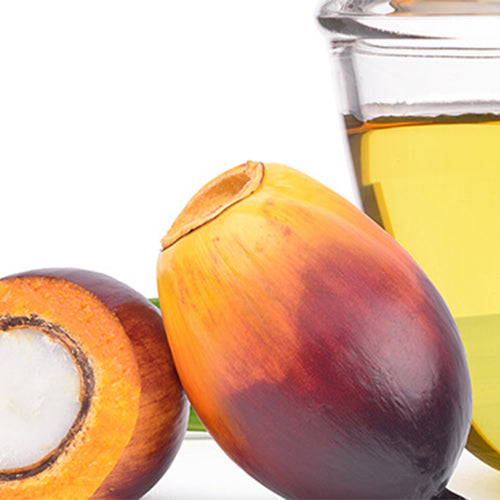 Palm Kernel Oil