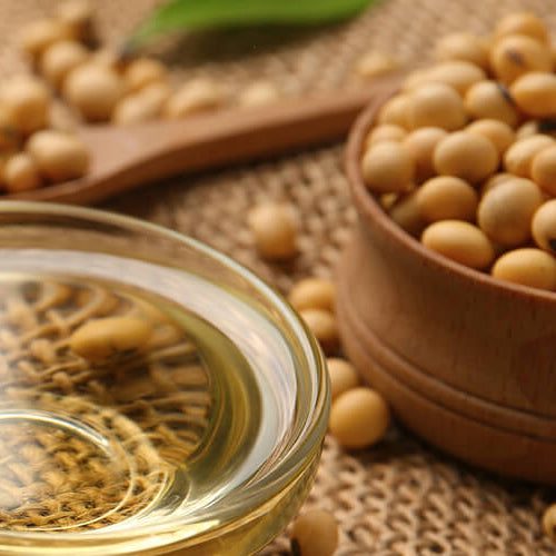 Soya Bean Oil