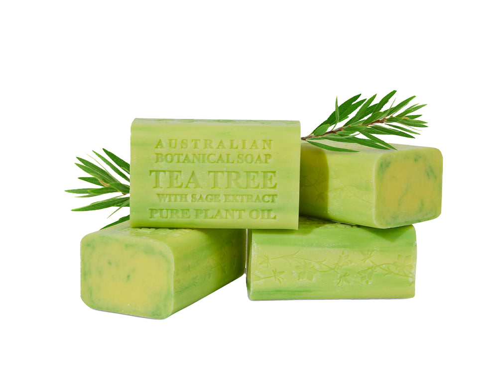 Green tea tree soap bars with a leaf on a white background