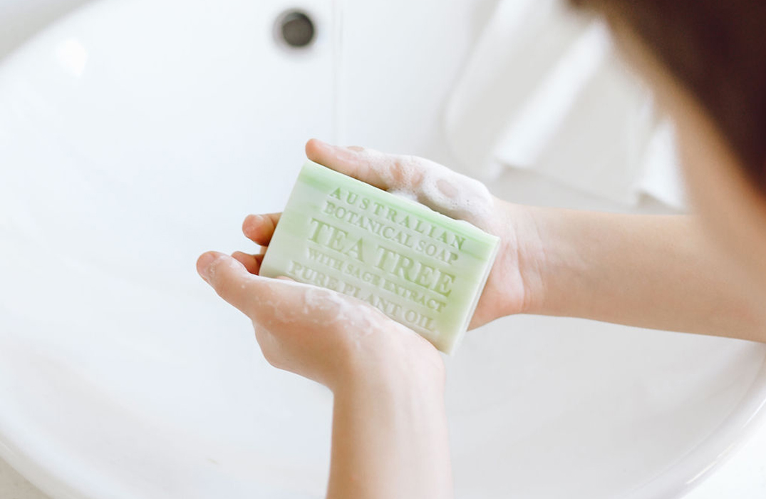 Tea Tree Soap with Sage Extract Shea Butter Pure Plant Oil Soap Bars