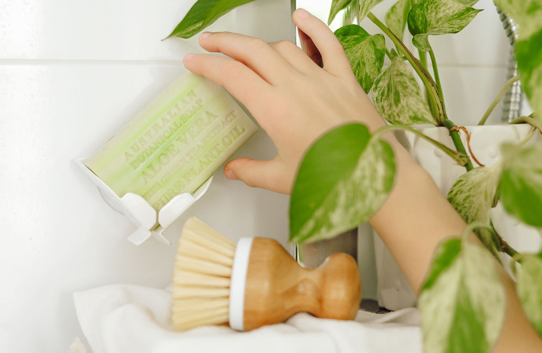 Aloe Vera Soap with Green Tea Extract Shea Butter Bar